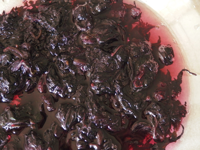 カリカリ梅の作り方 にがり 赤紫蘇漬け 梅仕事 Organic Recipe オーガニックレシピ