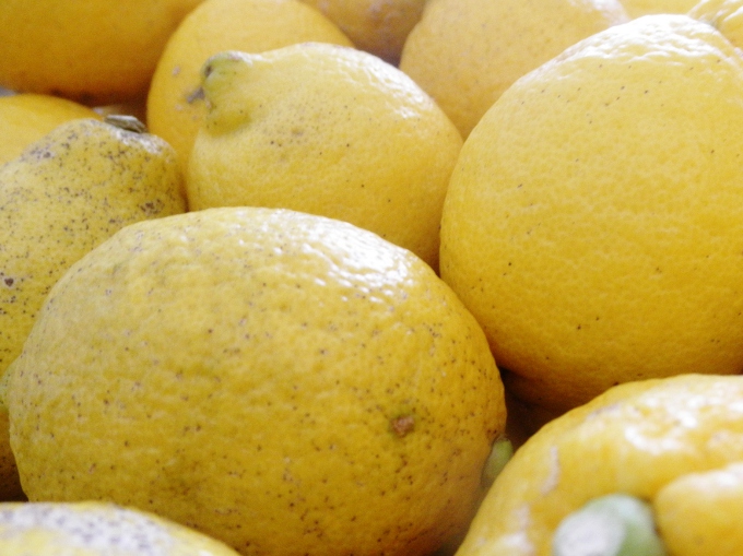 皮ごと安心 国産の有機レモン Organic Recipe オーガニックレシピ