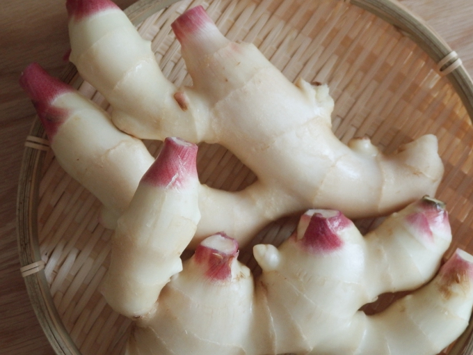 新生姜の甘酢漬け「ガリ」 – 【Organic Recipe｜オーガニックレシピ】