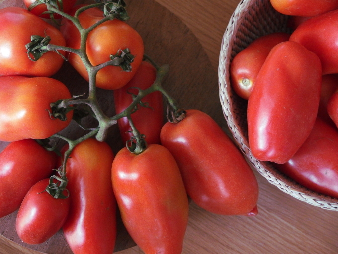 生トマトからつくるピュレ 自家製 トマトピューレ Organic Recipe オーガニックレシピ